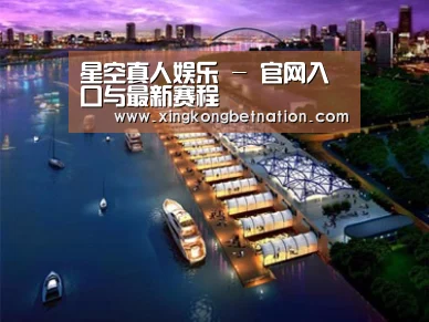案例展示八