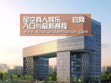 案例展示四