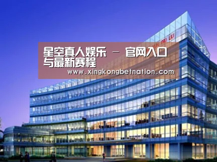 案例展示五