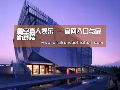 案例展示六