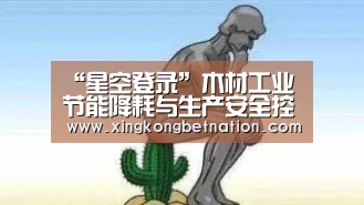 “星空登录”木材工业节能降耗与生产安全控制技术会议召开(图1) 星空登录