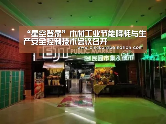 “星空登录”木材工业节能降耗与生产安全控制技术会议召开(图2) 星空登录