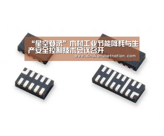“星空登录”木材工业节能降耗与生产安全控制技术会议召开(图3) 星空电竞