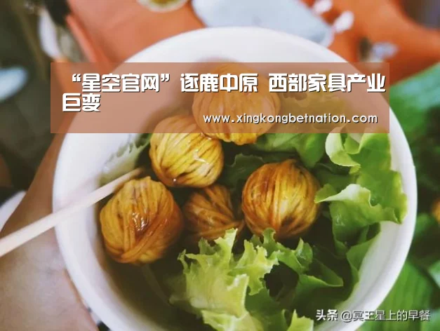 “星空官网”逐鹿中原 西部家具产业巨变(图2) 星空下载